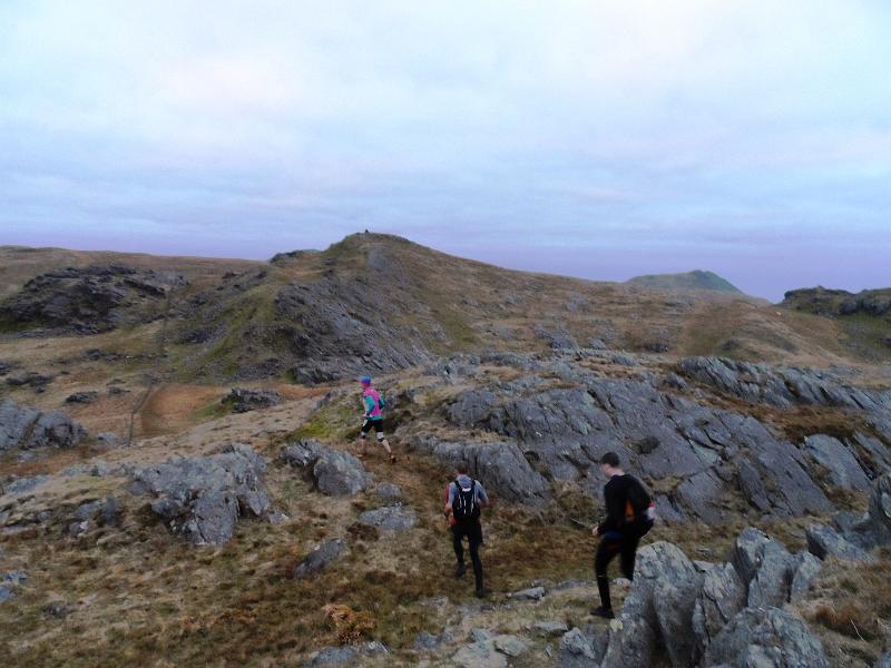 SAM_0130 YsgafellWen.JPG